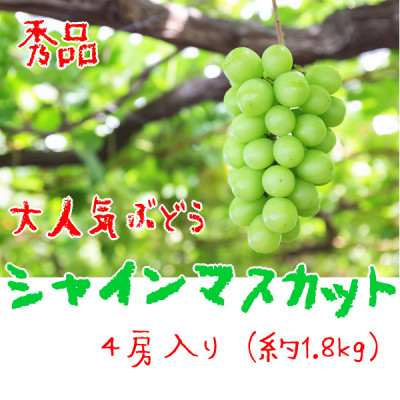 
＜大人気＞ぶどう名産地やまなしの厳選!濃厚シャインマスカット　秀品　約1.8kg(4房)入り【1297223】
