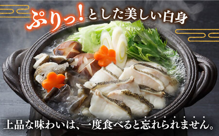 【全12回定期便】五島産養殖クエ鍋セット(五島うどん付) 海鮮 魚介 高級 魚 アラ 切身 ゼラチン コラーゲン 美容  五島市/五島ヤマフ [PAK015]