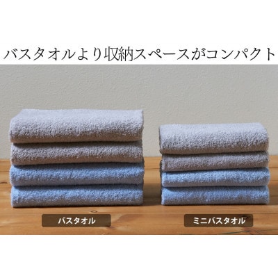 泉州タオル【日本製】ホテルスタイル ミニバスタオル　スカイブルー 2枚セット【1724684】