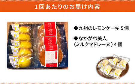 【全12回定期便】VISAVIS菓子 2種セット 計9点 ＜株式会社シークス＞那珂川市  定期便 バターケーキ お菓子 スイーツ  91000 91000円 [GAU009]