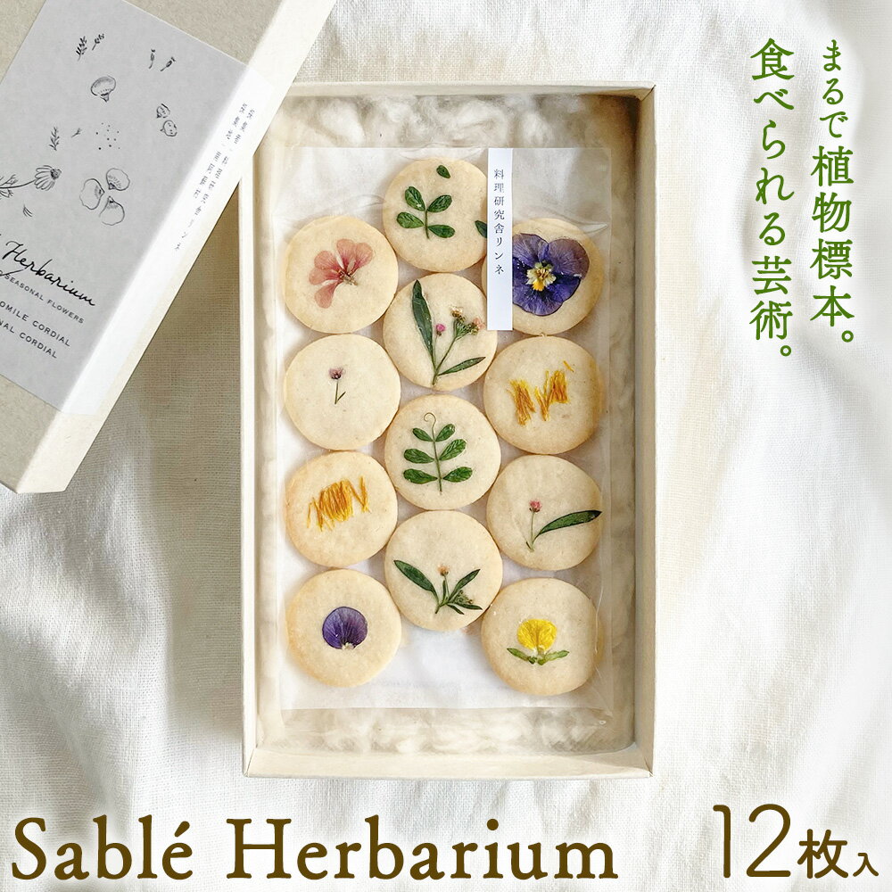【ふるさと納税】Sable Herbarium 12枚入り 料理研究舎リンネ《30日以内に出荷予定(土日祝除く)》熊本県 南阿蘇村 サブレハーバリウム サブレ グルテンフリー 米粉 エディブルフラワー カモミール クッキー 焼菓子 焼き菓子 お菓子 贈り物 プレゼント ギフト