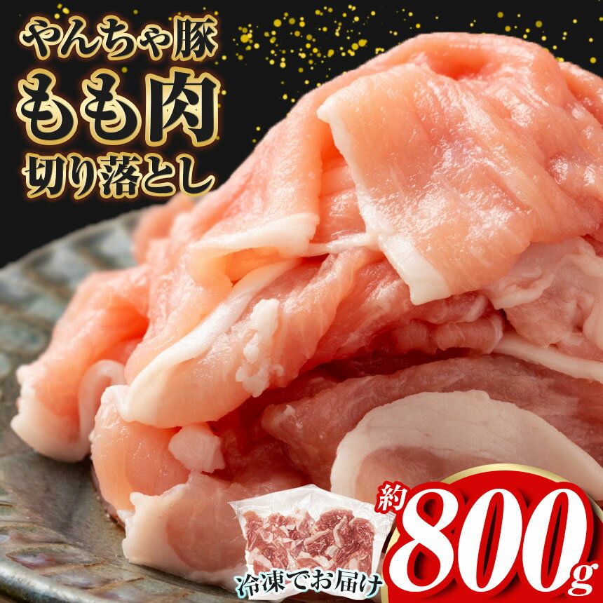 【ふるさと納税】豚肉 やんちゃ豚 もも肉 切り落とし 約 800g | 黒沢牧場 肉 豚肉 豚 モモ肉 もも肉 やんちゃ豚 切り落とし 無薬・無抗生物質の豚肉 栃木の特産豚肉 自然放牧豚 特産品 栃木県 下野市 しもつけ市