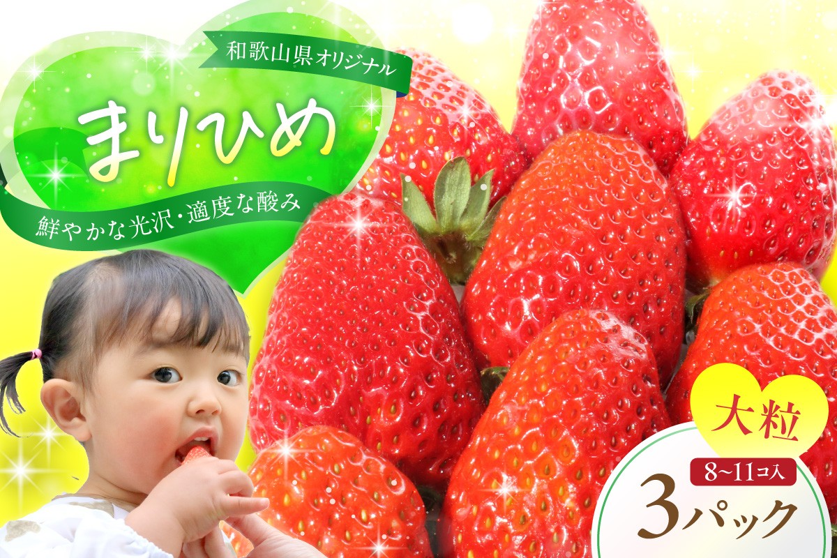 
            和歌山県オリジナルいちご「まりひめ」【配送不可地域：北海道・青森・秋田・岩手・沖縄】 
          