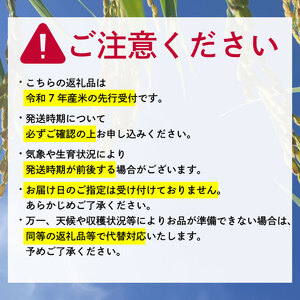先行予約 令和7年産 こしひかり 5kg×2袋(10kg)  新米 米 精米 コメ お米 白米 ご飯 コシヒカリ 10kg 5kg 令和7年 滋賀 彦根