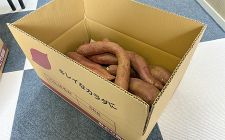 甘さ引き出す サイズ不揃い 熟成紅はるか 5kg さつまいも 訳アリ サツマイモ さつま芋 甘い おやつ 食品  F21T-474