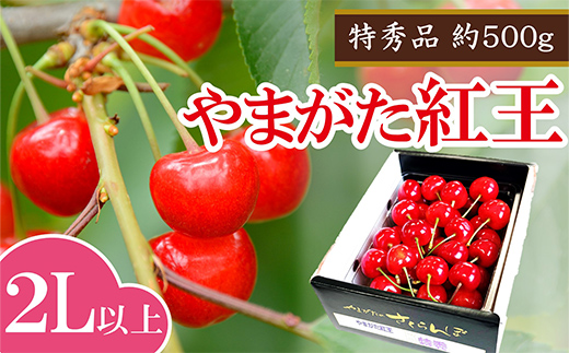 【令和8年産】 さくらんぼ 「やまがた紅王」 約500g (特秀 2L