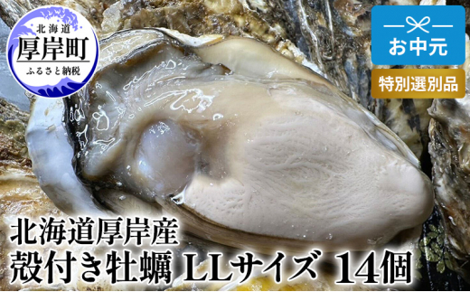 
北海道 厚岸産 殻付き 牡蠣 LLサイズ 14個 お中元 特別選別品 [№5863-1036]
