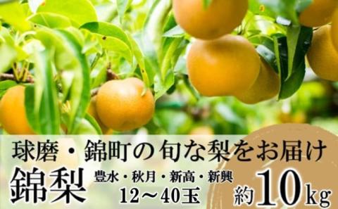 梨 先行予約 旬の梨 約10kg 12玉～40玉 豊水 秋月 新興 新高 錦町産 8月上旬より順次出荷 なし フルーツ 果物 デザート あきづき 配送不可：離島