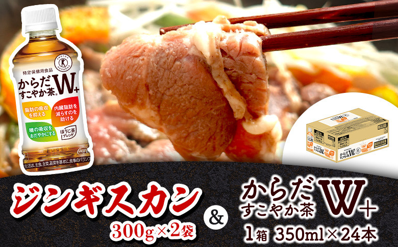 
阿部精肉店 味付きジンギスカン 600g からだすこやか茶 350ml 24本 コラボ 返礼品 ラム肉 味付き 羊 羊肉 ジンギスカン お茶 茶 トクホ 特定保健用食品 健康 ふるさと納税 北海道 恵庭市 恵庭【C99002】
