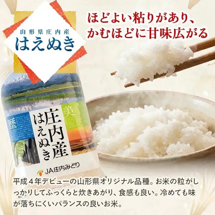 (1月～6月) ≪6ヶ月定期便≫ はえぬき5kg×6ヶ月連続 計30kg 山形県庄内産 ご希望期間の毎月中旬頃お届け JA 農協 産地直送 精米 白米 庄内米 東北 遊佐町 [1705T01]