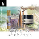 【ふるさと納税】【Nature Plants Skin Care】素肌を育てるスキンケアセット＜アロエ＞ | 天然素材 手作り スキンケア 美容 美 守本理恵 化粧水 天然 月桃 自然 メイクアップアーティスト メイク モデル 無添加 自然派 クリーム 美白 沖縄 海 オイル オーガニック