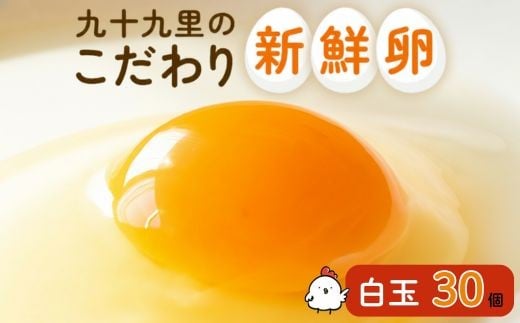 九十九里ファームこだわりたまご贈答用30個～あおい海・みどりの里～《白玉》 30個 たまご 卵 玉子 タマゴ 卵かけご飯 新鮮 旨み 甘み 贈答用 贈答 ギフト 贈り物 千葉県 匝瑳市