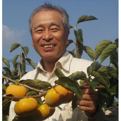 ふるさと納税 紀美野町 【和歌山県産】アンポ干し柿用平核無柿(ヒラタネナシカキ)生渋柿AP-約4.5-5kg　約22~35果 |  | 02