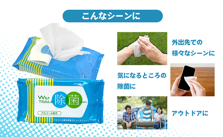 除菌ウェットティッシュ 計500回分（20枚入×25個）