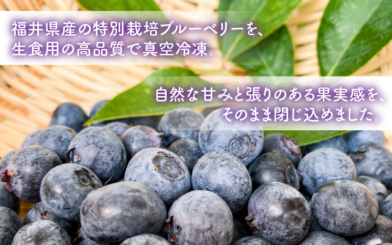 【訳あり】冷凍果実 福井県あわら市産 生食用ブルーベリー 真空冷凍 400g [aw007-a008]
