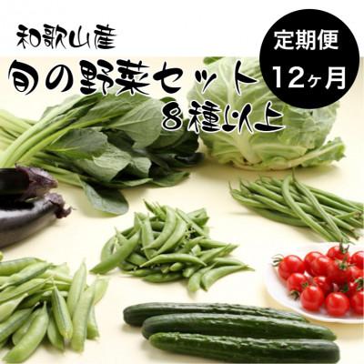 ふるさと納税 印南町 【毎月定期便】旬の新鮮野菜セット 8種以上(和歌山産)全12回
