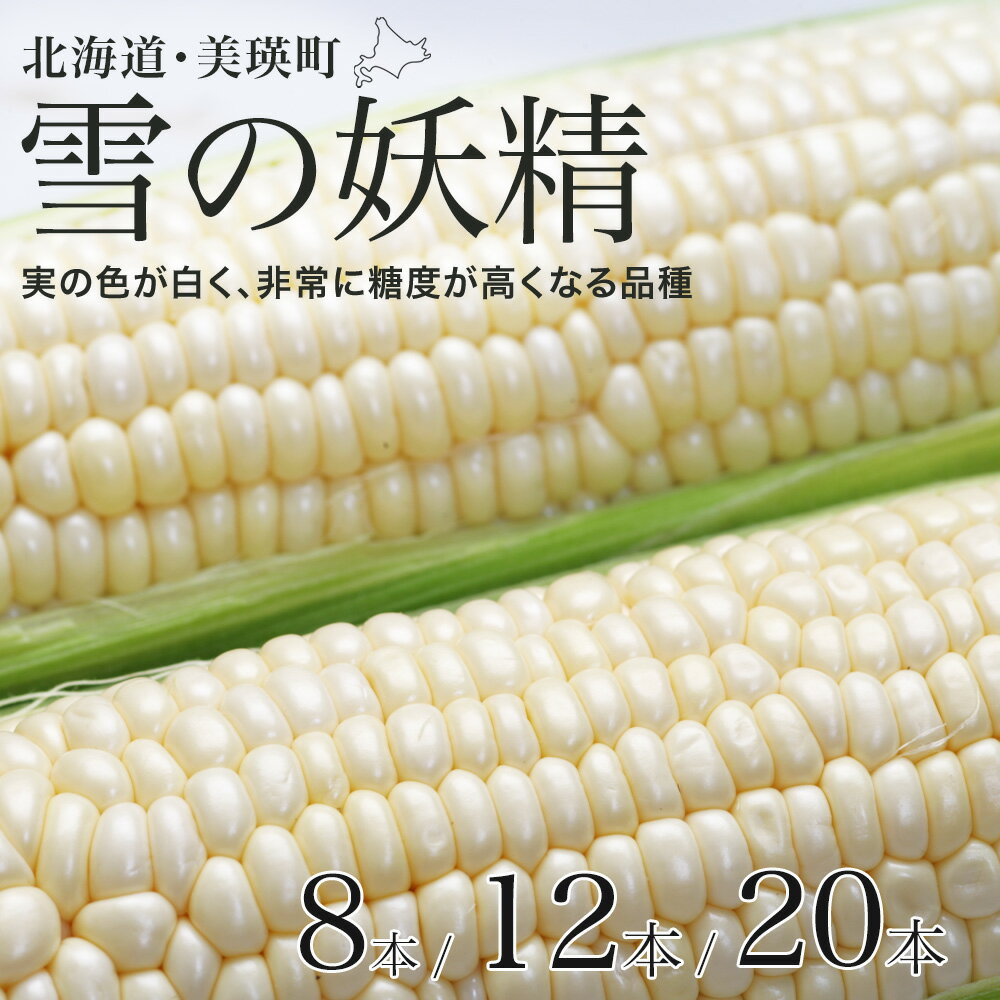 【ふるさと納税】とうもろこし（雪の妖精）8本12本 20本【令和8年産予約受付！】 野菜 送料無料 | スイートコーン とうきび 北海道 北海道美瑛 北海道美瑛町 美瑛町 美瑛 北海道産 美瑛産 [ 5kg 以上] 黒木農場[009-33]