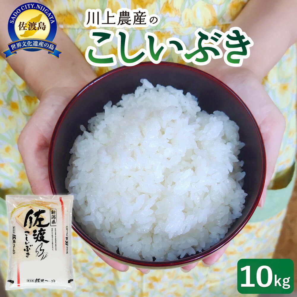 【ふるさと納税】令和7年産 佐渡 川上農産のこしいぶき（10kg） | お米 こめ 白米 食品 人気 おすすめ