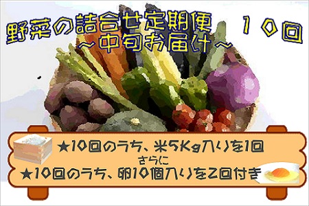 米5㎏と卵20個付き！野菜の詰め合わせ定期便10回(中旬)【定期便】 ( 米 ご飯 ごはん お米 白米 卵 たまご 野菜 やさい 詰め合わせ 定期便 季節の野菜 旬 おまかせ 新鮮 とれたて おすすめ )【J0-001】