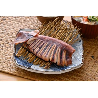 ふるさと納税 茨木市 【直火焼き魚】肉厚するめいか塩焼き 2杯入 加熱済