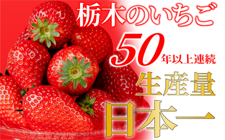 いちご【3月以降発送】朝採れとちおとめ レギュラーサイズ 約270g × 4パック 合計 約1080g |イチゴ いちご