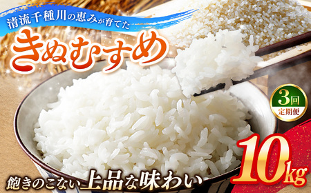 【定期便3回】令和7年産 上郡町からのお米 きぬむすめ10kg×3回 | お米 きぬむすめ 美味しい 国産 兵庫県 上郡町