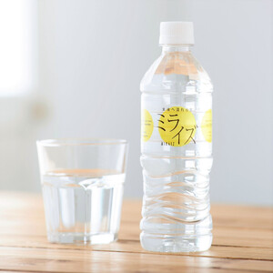 大山山麓天然水「ミライズ」定期便　48本×3ヶ月