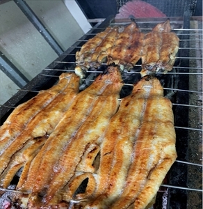 うなぎ辻判 国産鰻炭火蒲焼き 3尾 各約160g 〈有頭・冷凍〉 うなぎ 鰻