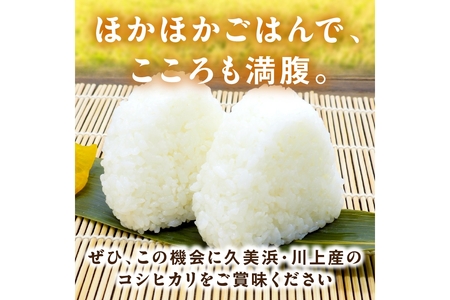 京都・久美浜産 特別栽培米コシヒカリ 1.5kg