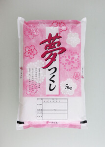 【定期便全3回】【令和7年産新米予約】【食味鑑定士厳選】福岡県産 夢つくし5kg (5kg×1袋) 合計 15kg