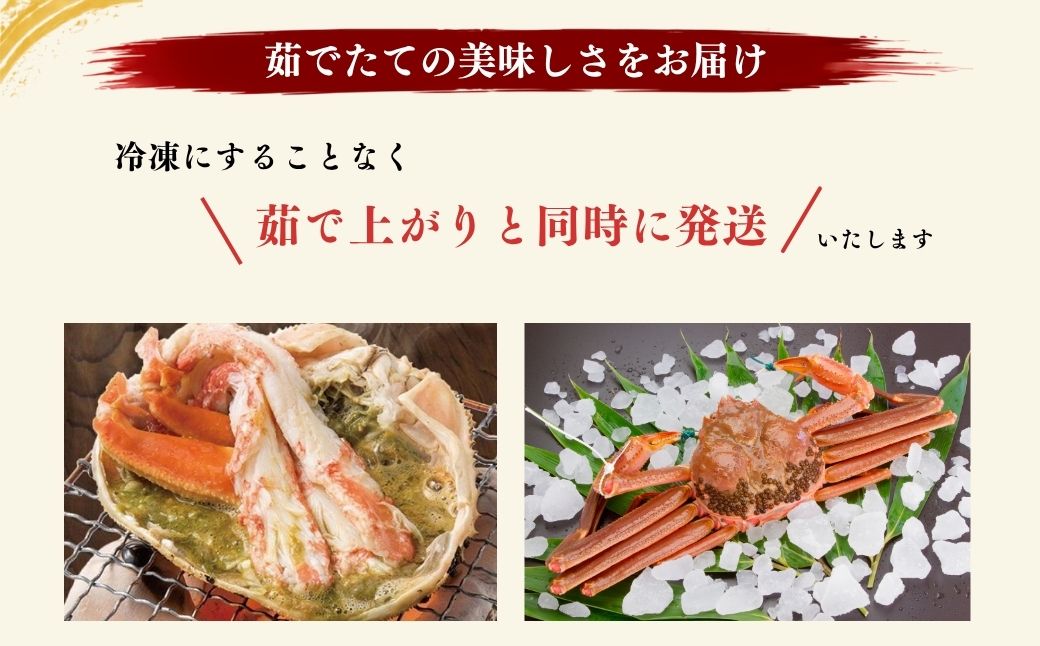 【令和8年10月中旬以降発送】佐渡産 本ずわいがに 800g前後（400g前後×2杯）