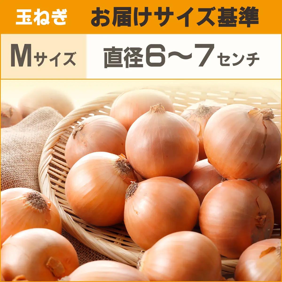 【先行予約】玉ねぎ Mサイズ 20kg 大空町産（2026年11月以降順次発送） OSR010 | 玉ねぎ