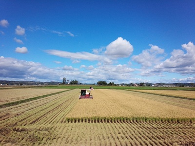 【精米2ヶ月定期便】特別栽培「きなうす米」ゆめぴりか5kg×2回