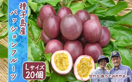 【 先行予約 】種子島 さご農園 パッションフルーツ サマークイーン (20個)　NFN040【450pt】 