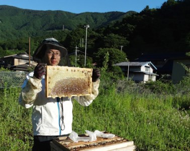 道志村産　森のはちみつ（130g×2本） DSD001　はちみつ ハチミツ　蜂蜜　ハニー