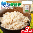 【ふるさと納税】【新米：令和6年産】滋賀県 低農薬栽培 ミルキークイーン 玄米 3kg　滋賀県長浜市/有限会社もりかわ農場 [AQBL022] 米 お米 玄米 新米 3kg ※着日指定不可