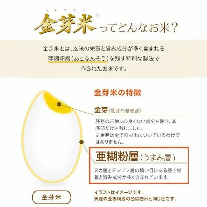 【定期便】BG無洗米・金芽米つや姫 5kg×3回 （隔月）計量カップ無し 令和7年産 2ヶ月に1回 6ヶ月 計15kg 東洋ライス 健康 島根県 安来市 【価格変更】【45-SS-45-2】