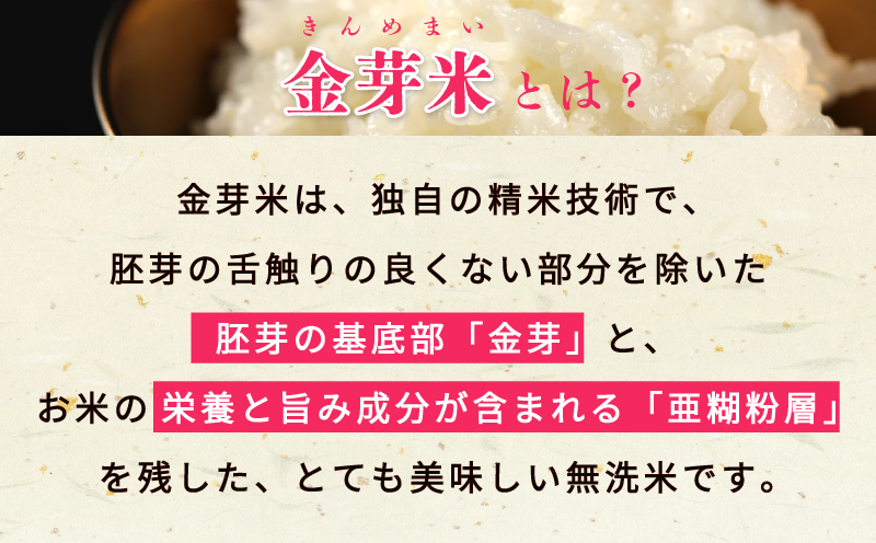 金芽米 9kg(無洗米) 【4.5kg×2袋 ご飯 ごはん お米 精米 金芽米計量カップ付】