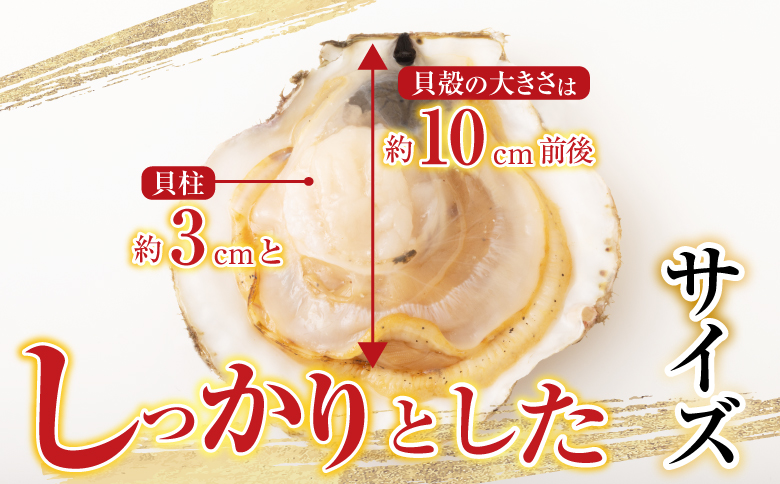 ＼漁業者応援品／根室海鮮市場＜直送＞片貝ほたて10枚×2袋 A-28124