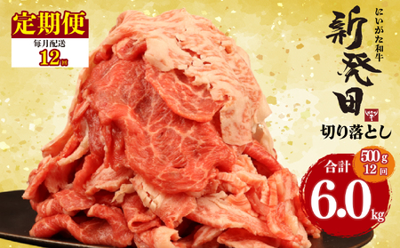 【12回定期便 】 牛肉 切り落とし 新発田牛 計6kg 切り落とし enomoto028