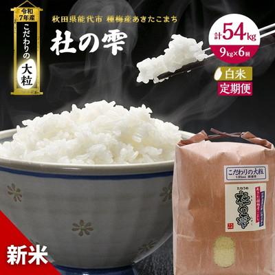 ふるさと納税 能代市 新米 定期便6ヶ月 精米 あきたこまち 杜の雫 9kg×6回[No.5335-0497]