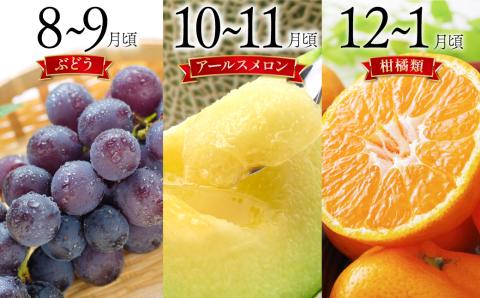 【6回定期便 Bコース】【ご家庭用】フルーツ定期便 旬のフルーツセット / いちご ビワ スイカ ぶどう アールスメロン 柑橘類 南島原市 / 長崎県農産品流通合同会社 [SCB066]