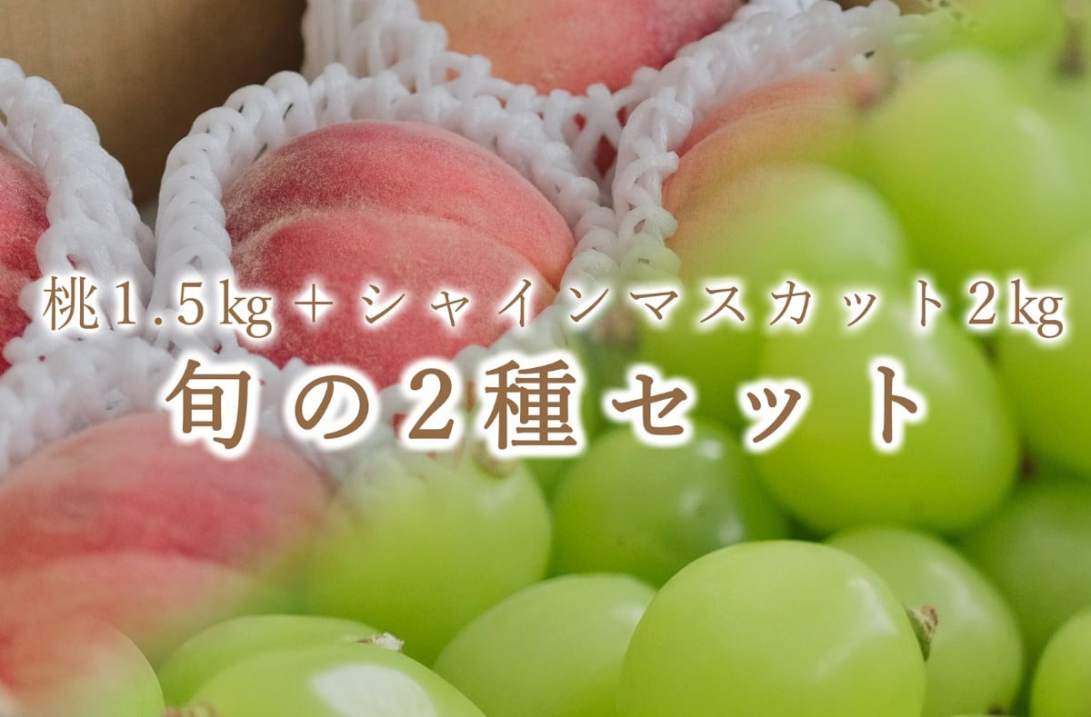 
            ＜25年発送先行予約＞ 笛吹市産 ご家庭用 桃1.5kgとシャインマスカット2kgの2種セット【定期便】 193-013
          