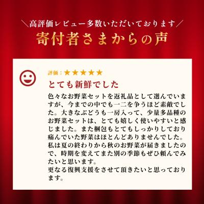 ふるさと納税 石巻市 水沢種苗店おススメ新鮮野菜・加工品セット |  | 03