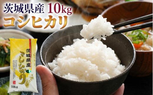 コシヒカリ 10kg ( 10kg × 1袋 ) 令和7年産 茨城県産 米 お米 コメ 白米 こしひかり 米10kg コシヒカリ10kg お米 ふっくら つや 甘み 茨城県 新生活 応援 茨城県 筑西市