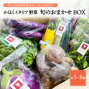 【ふるさと納税】かほくイタリア野菜 旬のおまかせBOX（約5～8種類） 野菜の説明&おしゃれな料理が簡単に作れちゃうレシピ付き♪ 山形県 河北町 野菜 イタリア野菜 イタリアン ベジタブル トレヴィーゾ フィノッキオ 詰め合わせ レシピ付き サラダ 健康 送料無料