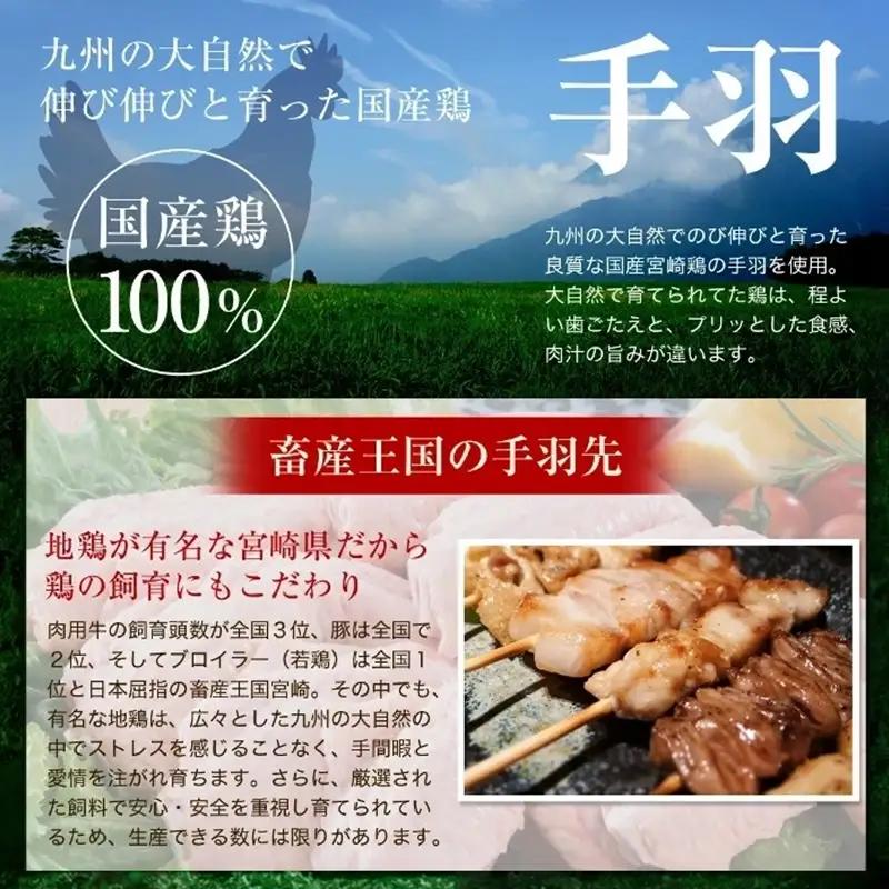 【TV番組で餃子日本一獲得!】 馬渡のもっちり 餃子 手羽餃子 国産 小分け 肉 人気