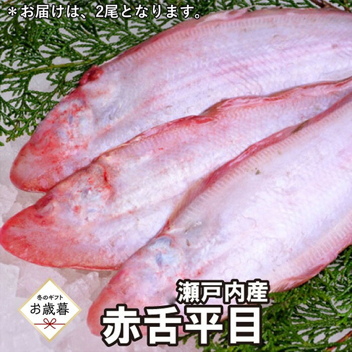 【ふるさと納税】【お歳暮】【処理方法選択可】赤舌平目 2尾（1尾、約250g～300g）れんちょうがれい レンチョウ | 魚 お魚 さかな 食品 人気 おすすめ 送料無料