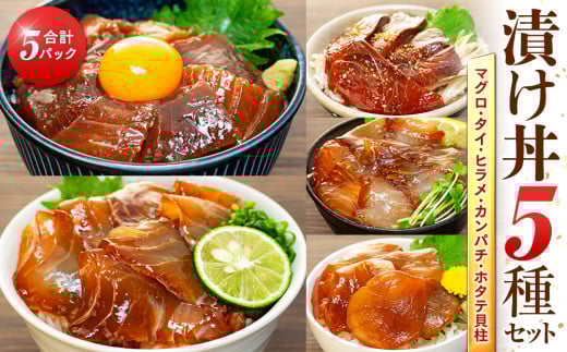 老舗旅館 漬け丼 5種 計 10パック 薬味 付き ( マグロ ヒラメ タイ カンパチ ホタテ貝柱 ) 豆千 海鮮 新鮮 タレ 国産 鮪 鮃 鯛 帆立 ほたて 貝柱 魚 さかな セット 愛知県 南知多町 人気 おすすめ 【離島不可】