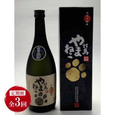 ふるさと納税 対馬市 【毎月定期便】麦米焼酎 対馬やまねこ 25度 720ml 2本セット全3回